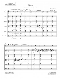 Borsa -  flute & string... 2