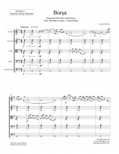 Borsa -  chamber string... 2