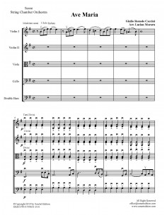 Ave Maria -  chamber string... 2