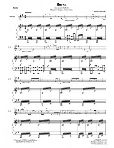 Borsa -  panflute & piano 2