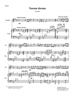 Nessun Dorma  -  panflute &... 2