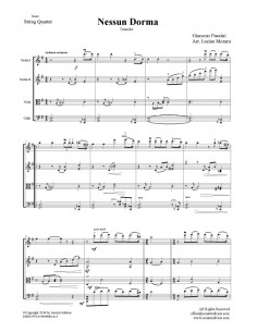 Nessun Dorma  -  string... 2