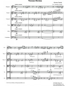 Nessun Dorma  -  panflute &... 2